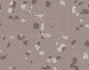 Taralay Premium Brazilia 4329 Bacabal фото 1 | FLOORDEALER